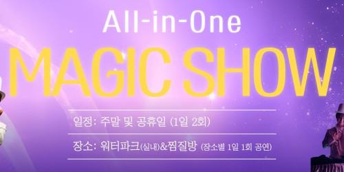 아일랜드캐슬 올인원 매직쇼
